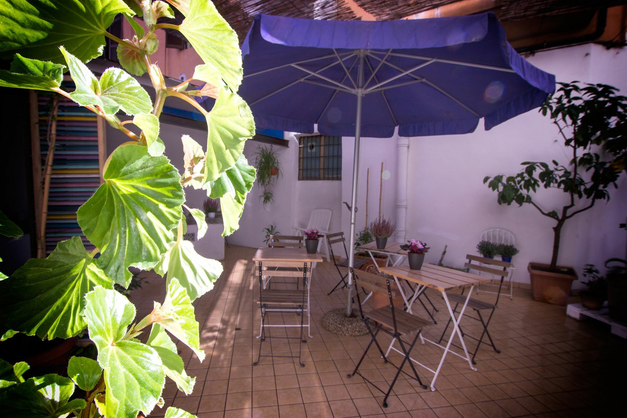 Hotel Casa Maplink Rom Exterior foto
